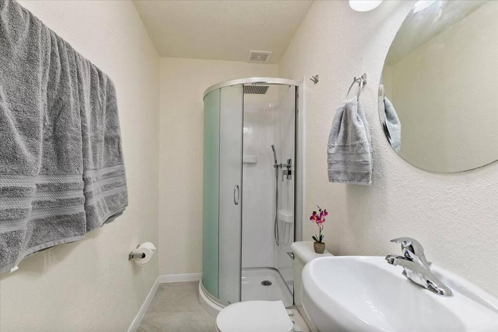 Lucky House - Tranquility In The Middle Of Houston - Tv In Every Room - 300 M2 外观 照片